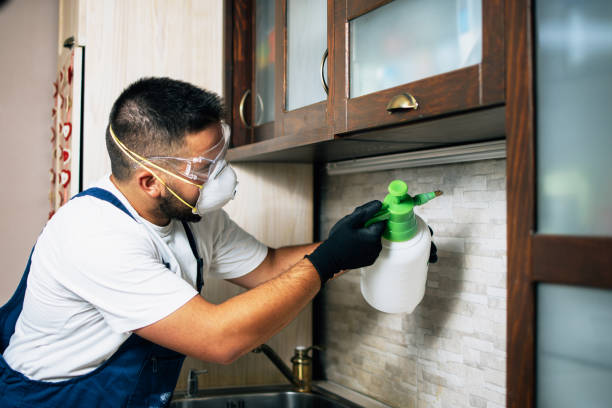 Pest Control Cost in Holiday Valley, OH