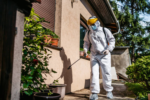 Best Ant Control Services  in Holiday Valley, OH