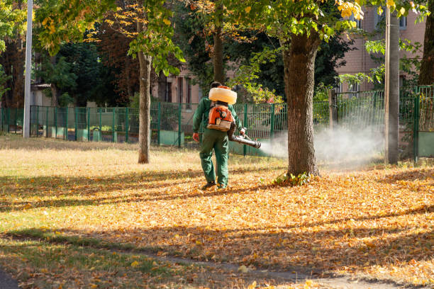 Best Emergency Pest Control  in Holiday Valley, OH