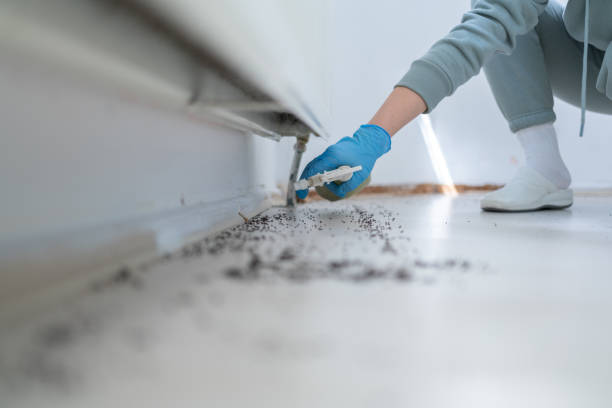 Best Pest Prevention Services  in Holiday Valley, OH