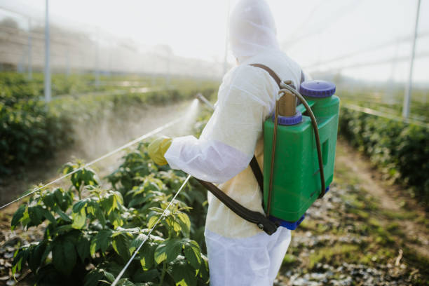 Best Cockroach Control Services  in Holiday Valley, OH